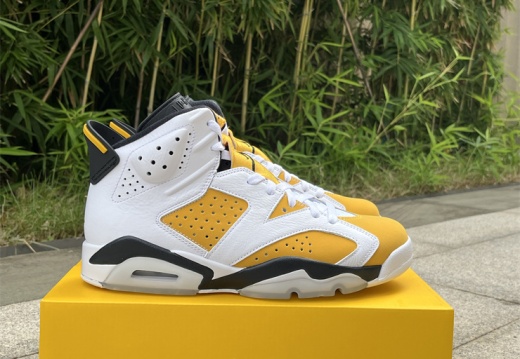 Air Jordan 6 Yellow Ochre CT8529-170 40-47.5 M120
